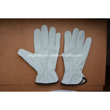 Driver Glove-Sheep Skin Driver Handschuh-Gewicht Heben Handschuh-Winter Handschuh-Warm Handschuh